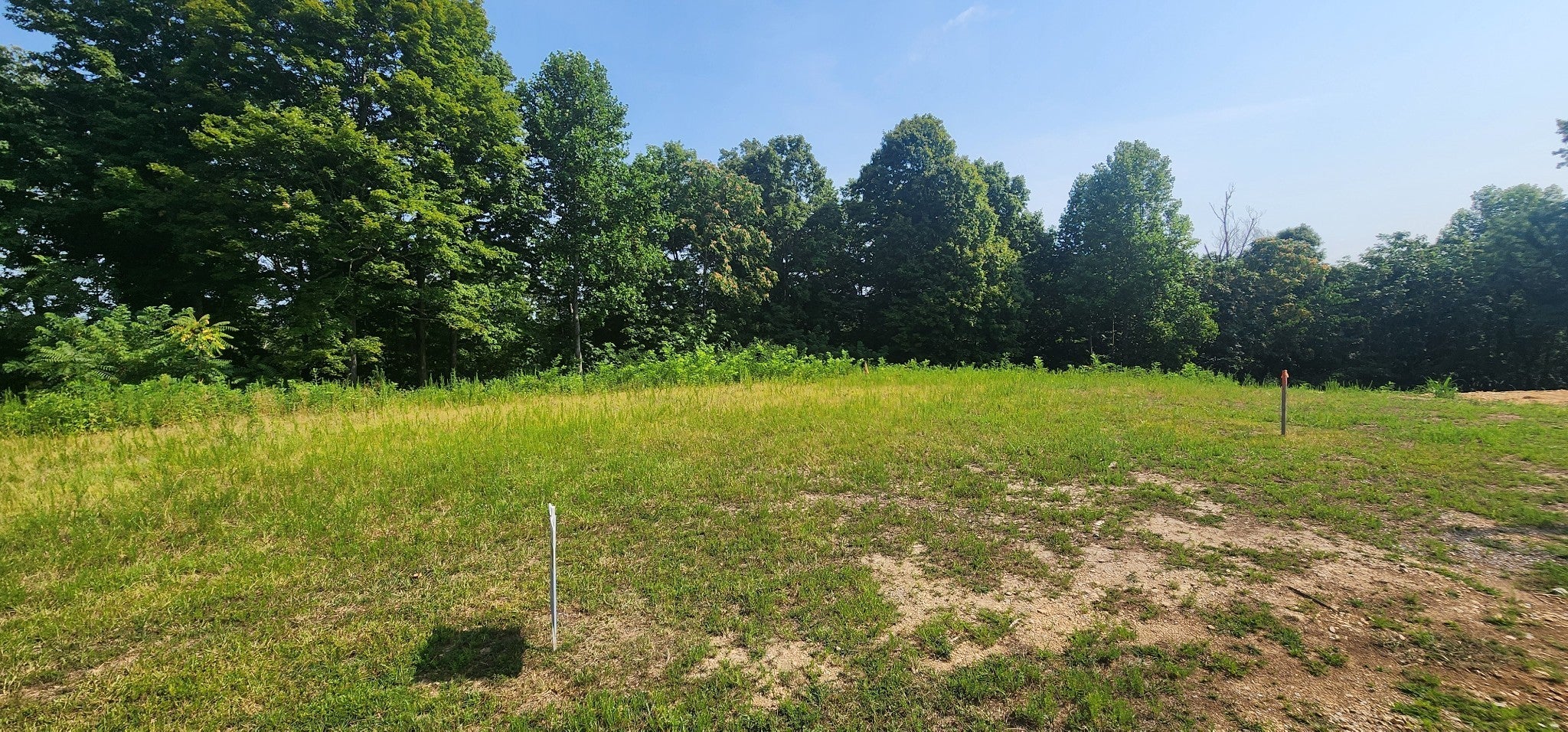 Photo of Listing #2942166