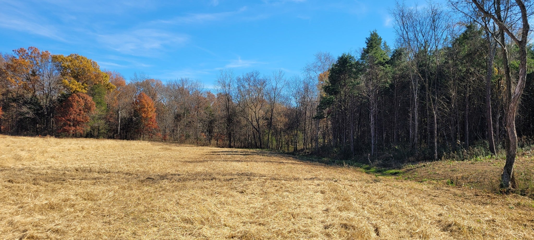 Photo of Listing #2942459