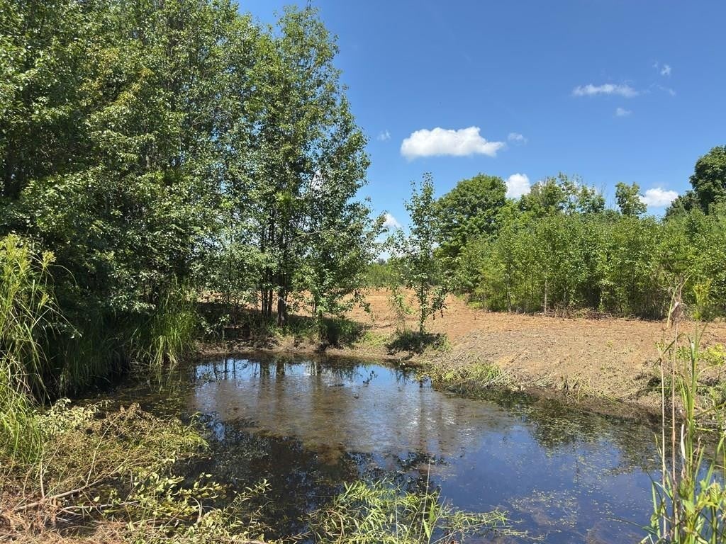 Photo of Listing #2943010