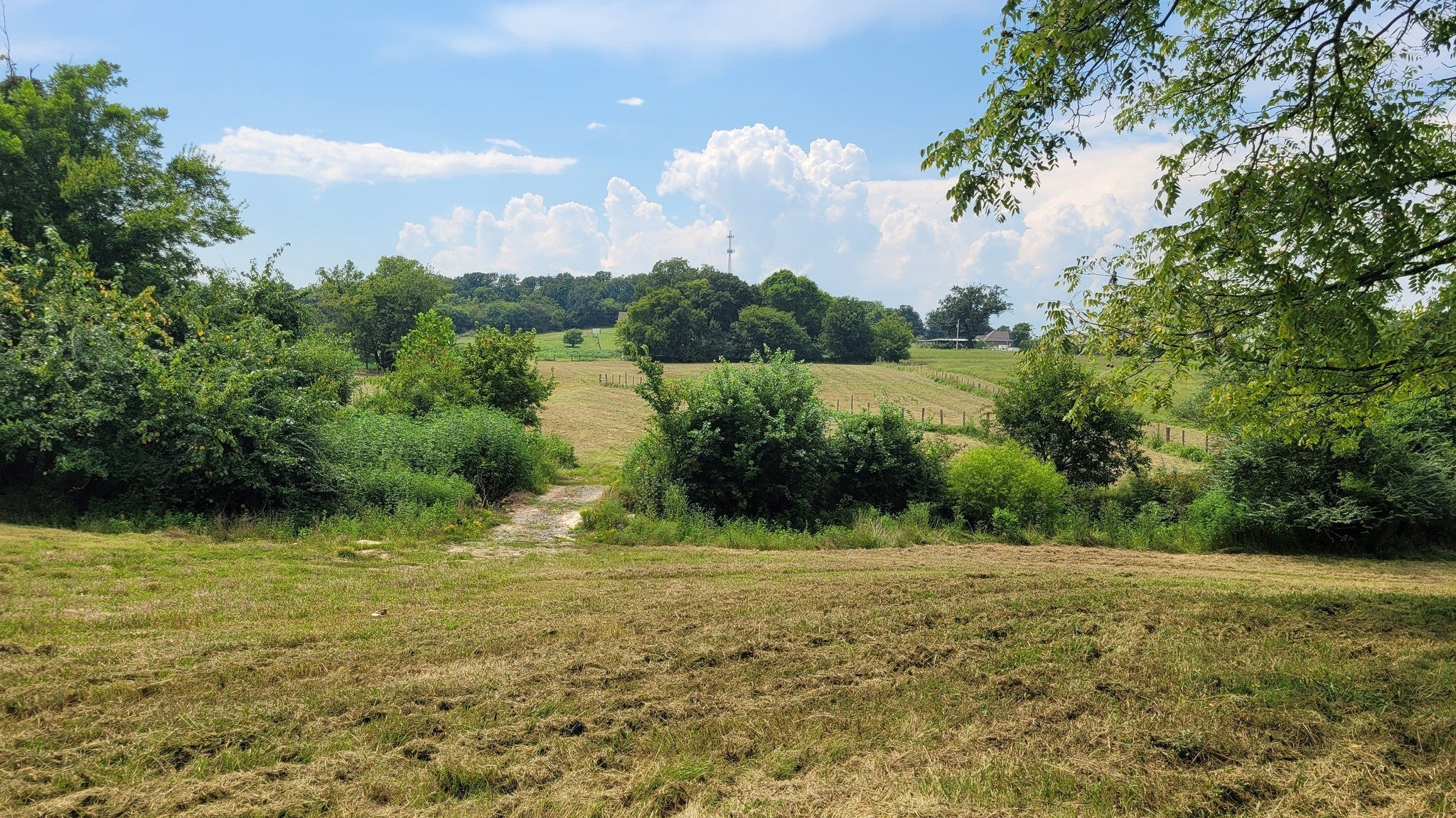 Photo of Listing #2943086