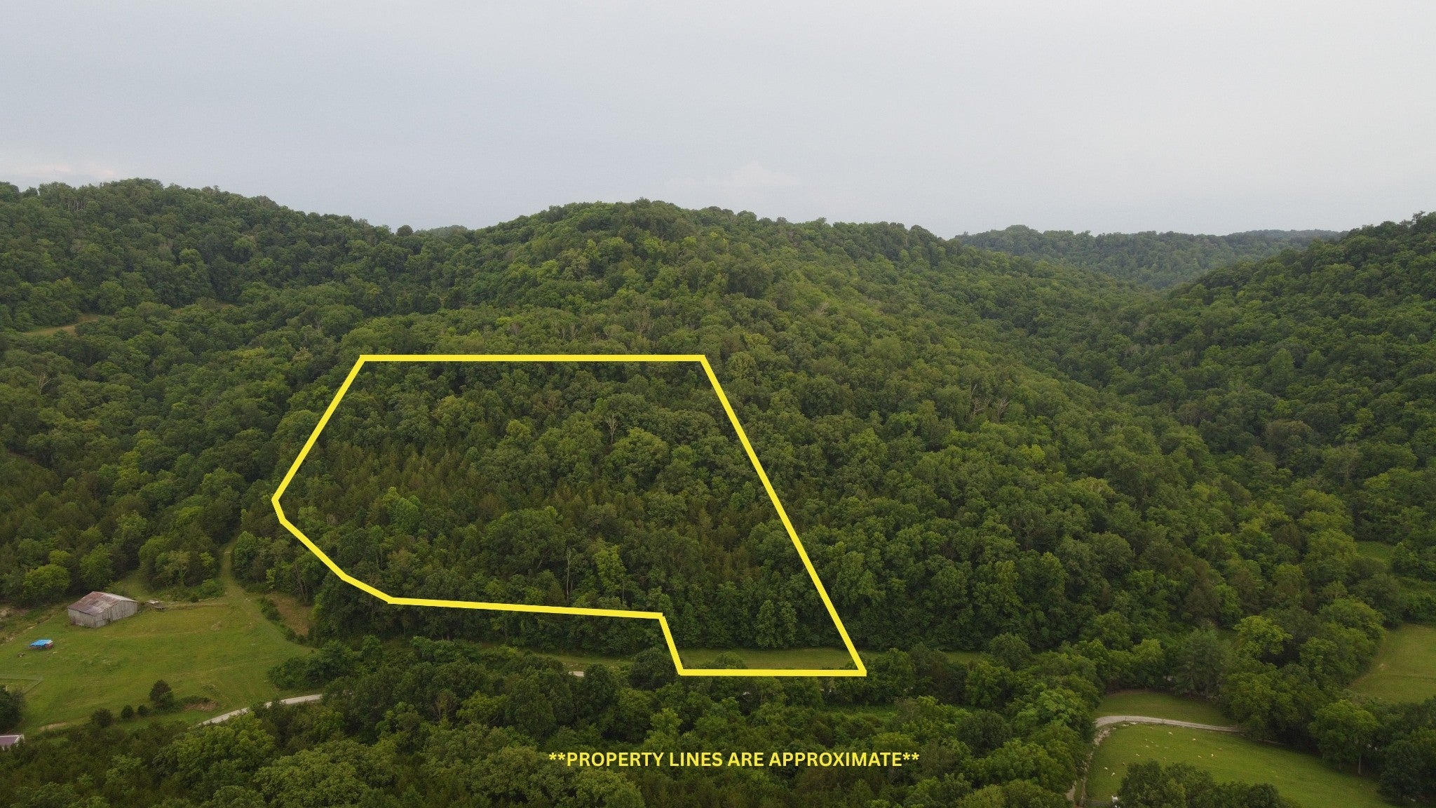 Photo of Listing #2943132