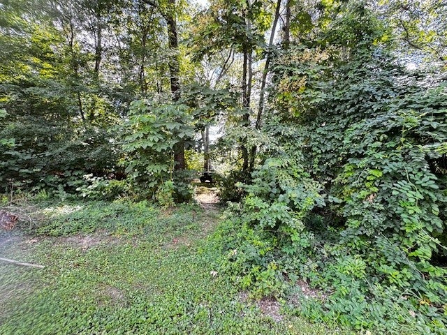 Photo of Listing #2943273