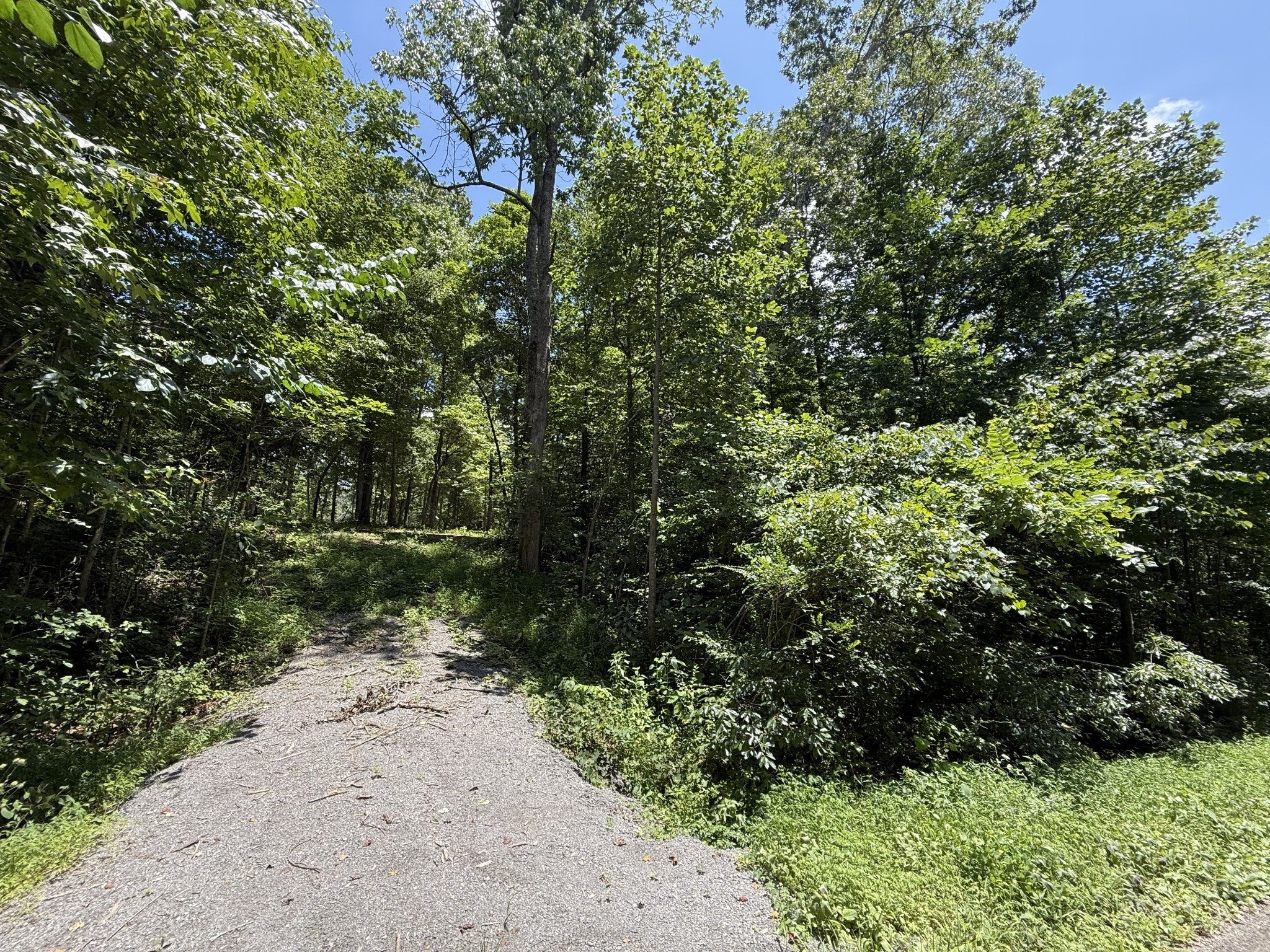 Photo of Listing #2943306