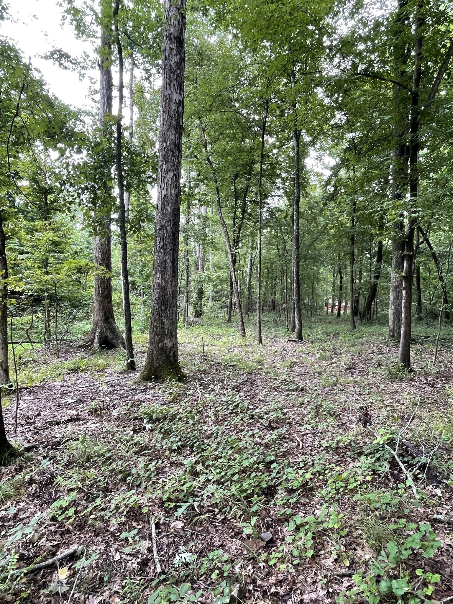 Photo of Listing #2944200