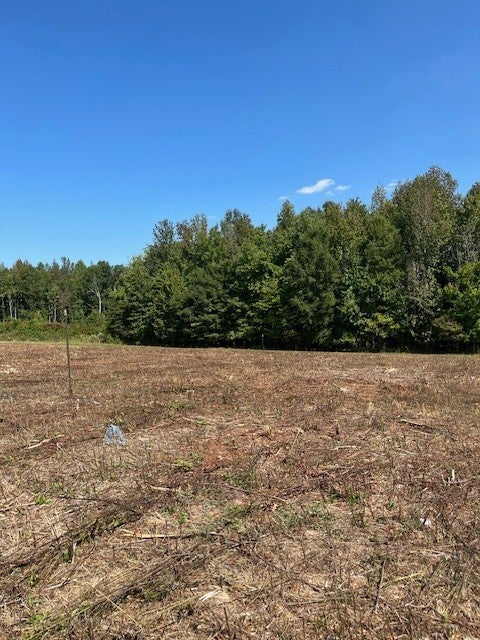 Photo of Listing #2944436