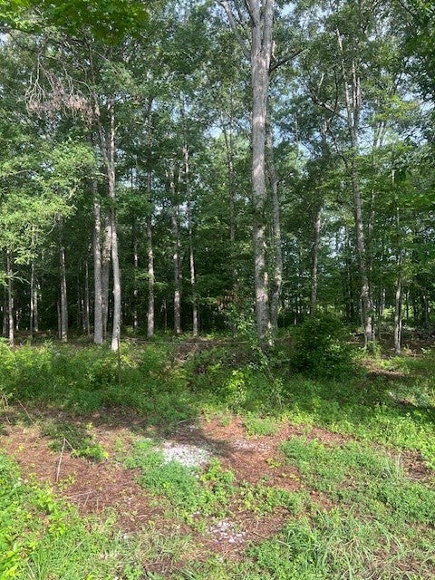 Photo of Listing #2944436