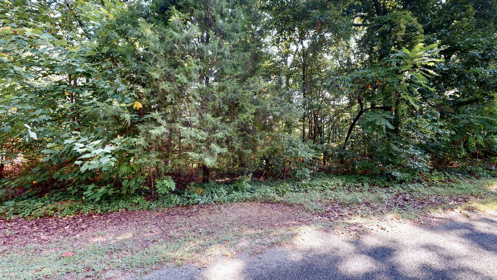 Photo of Listing #2944502