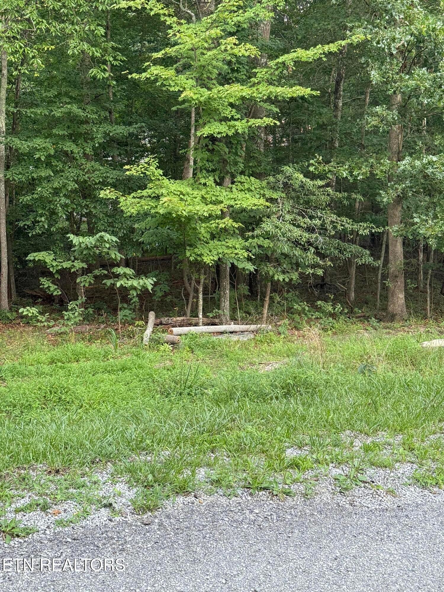 Photo of Listing #2945589