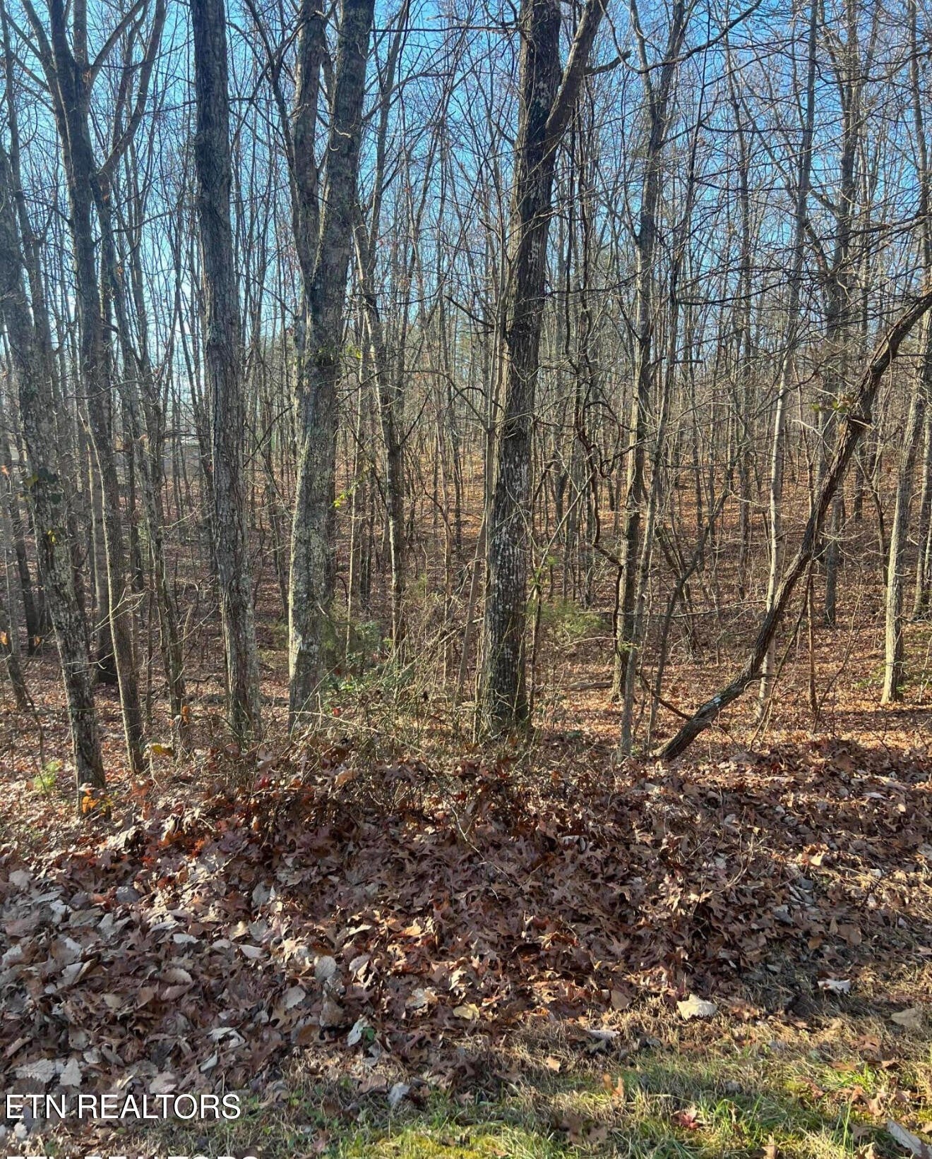Photo of Listing #2946378