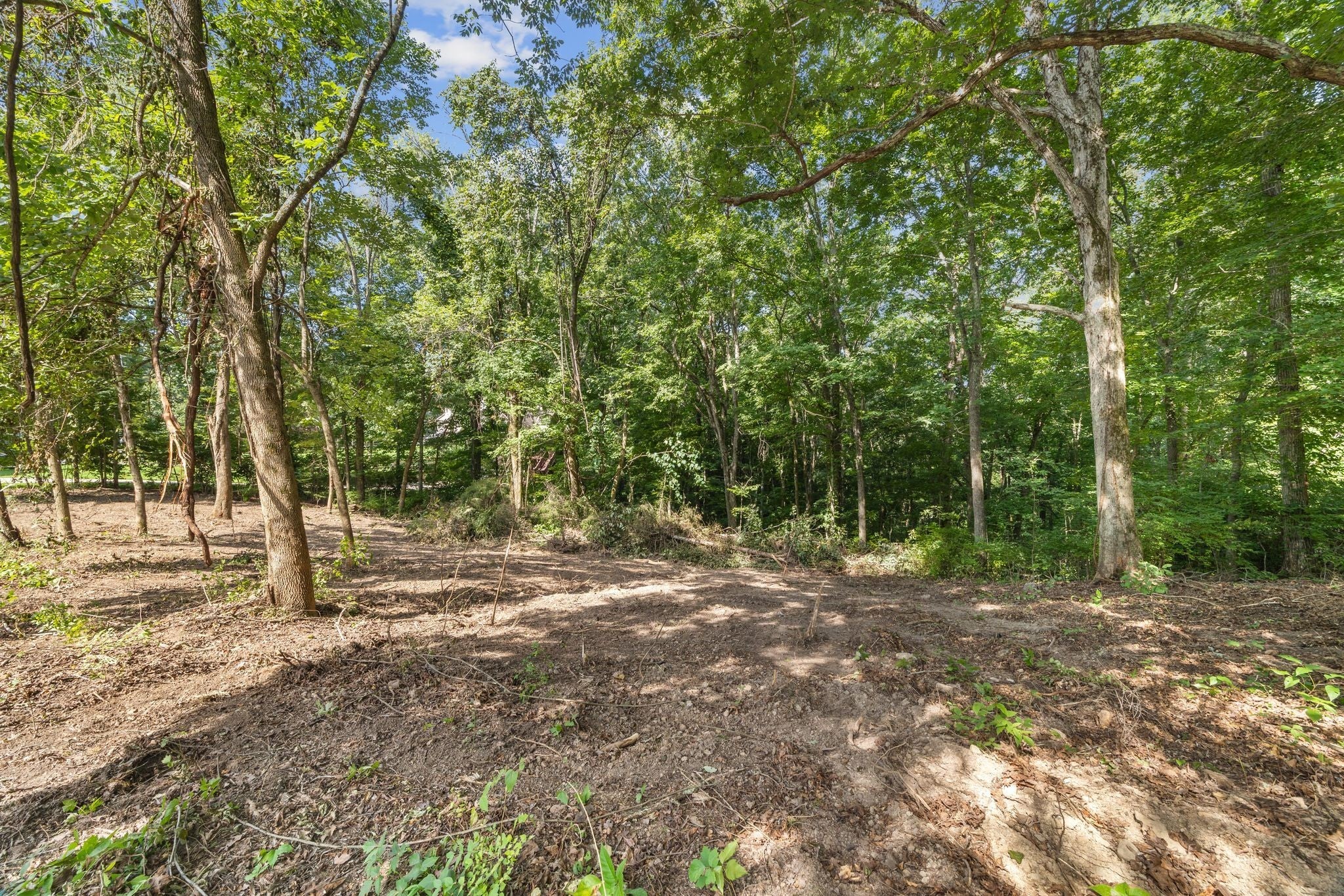 Photo of Listing #2946549