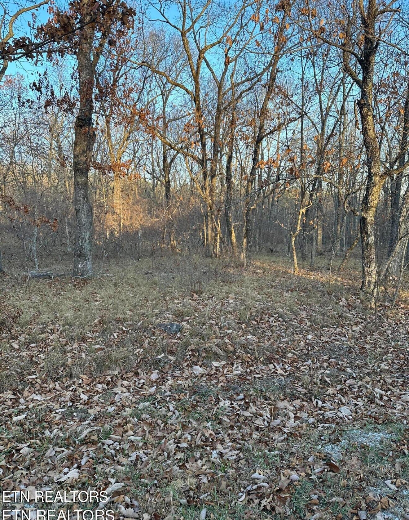 Photo of Listing #2946801