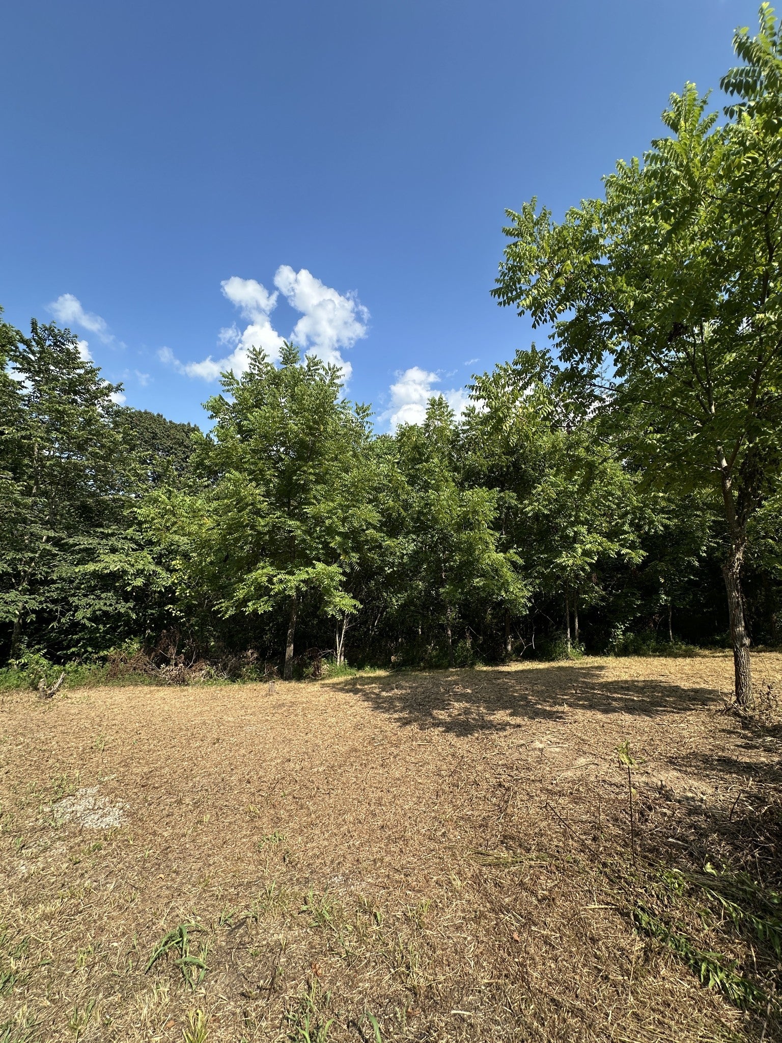 Photo of Listing #2957571