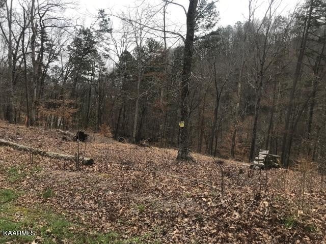 Photo of Listing #2959060
