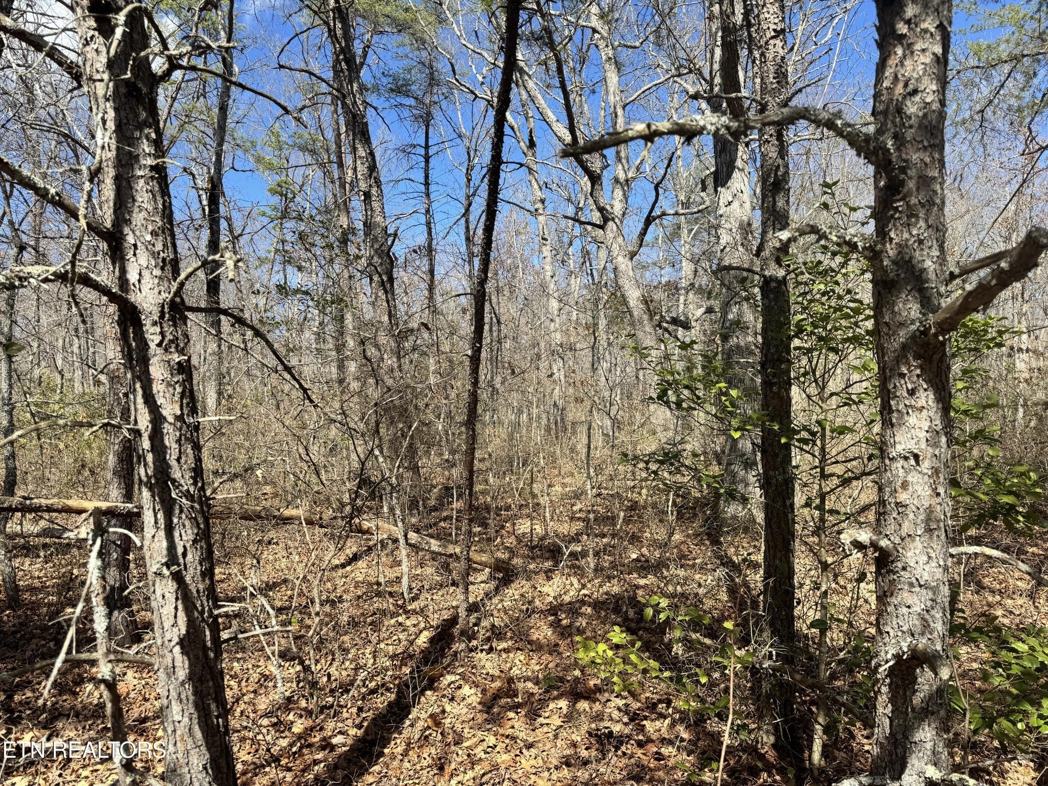 Photo of Listing #2962882