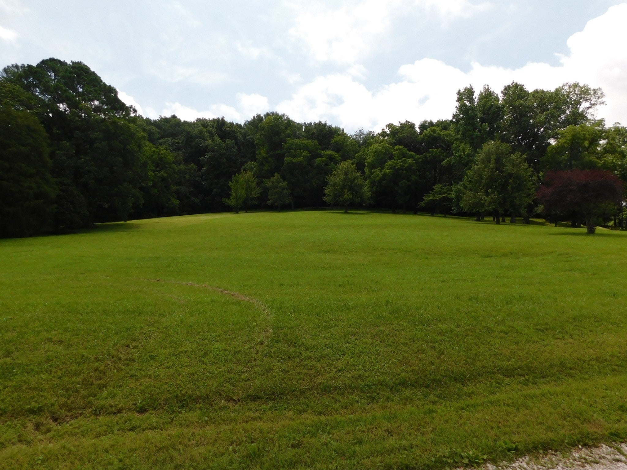 Photo of Listing #2963360