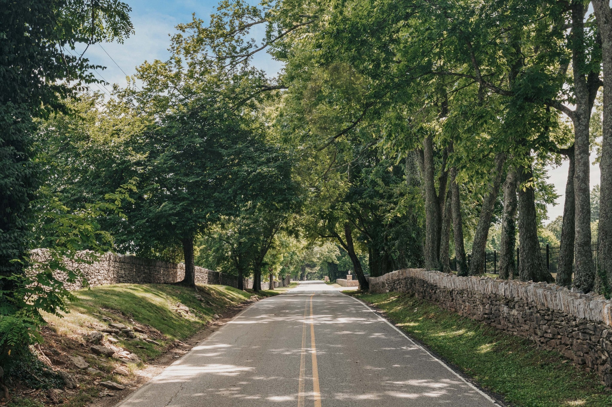 Photo of Listing #2963565