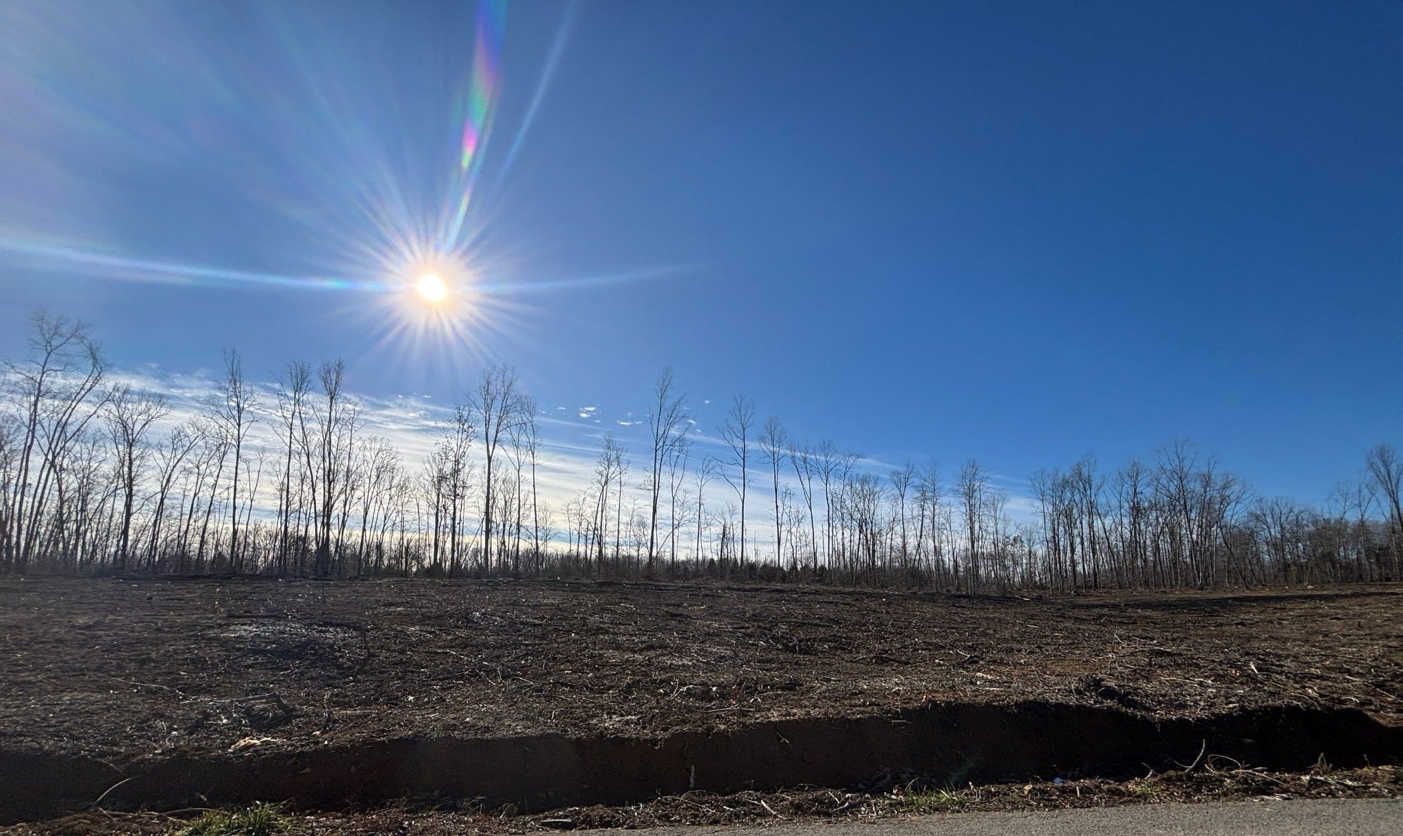 Photo of Listing #2963737