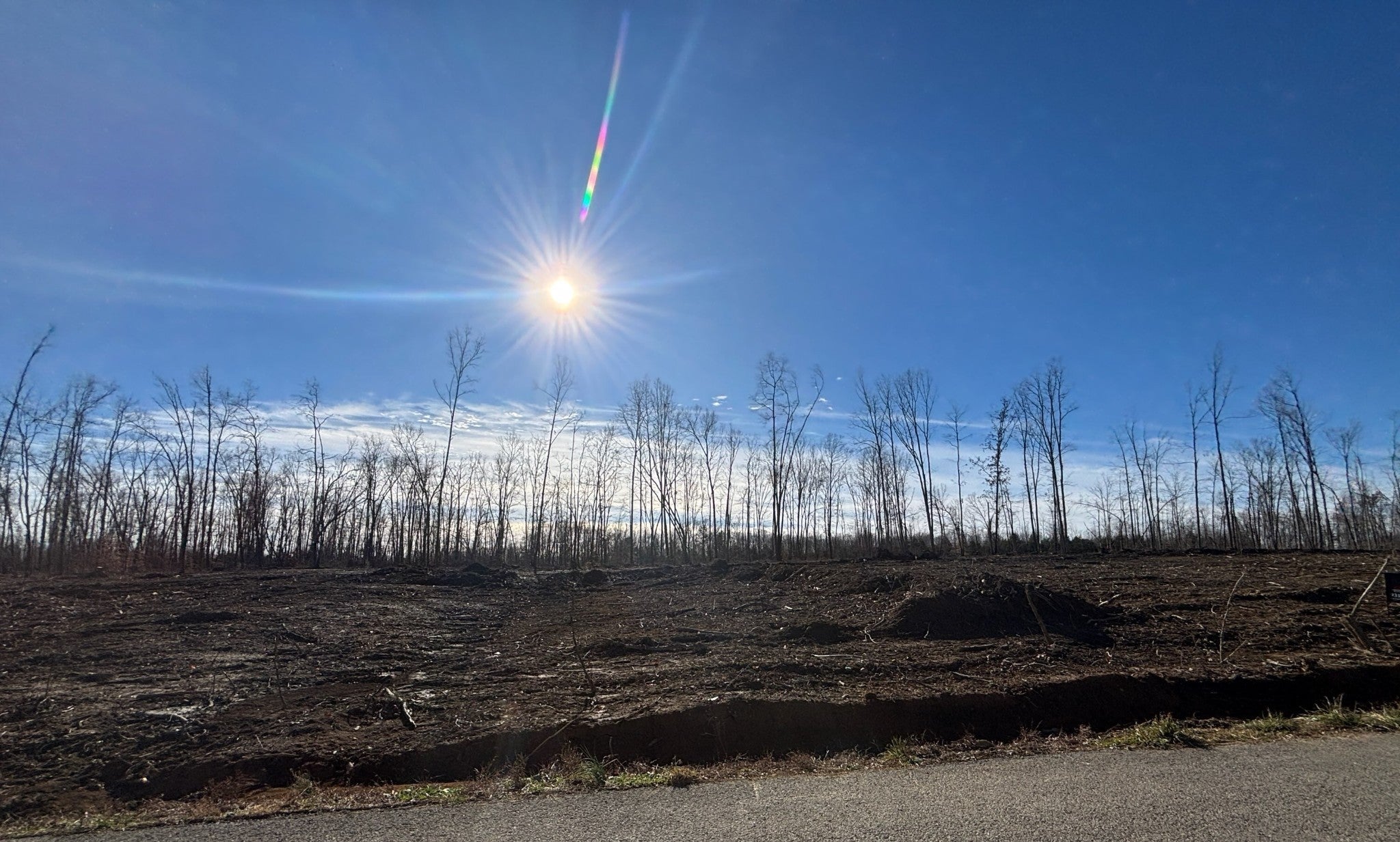 Photo of Listing #2963745