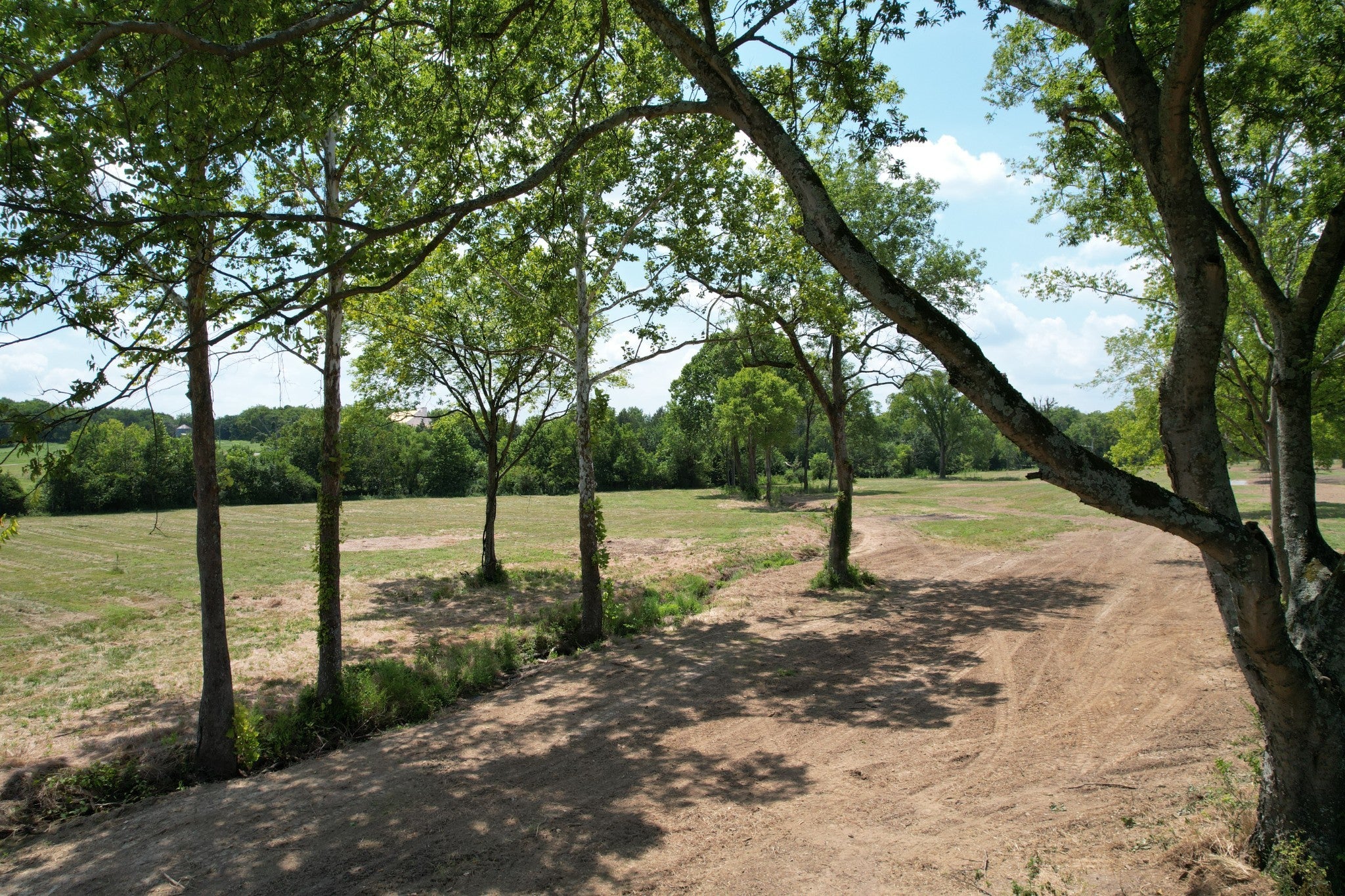 Photo of Listing #2963873