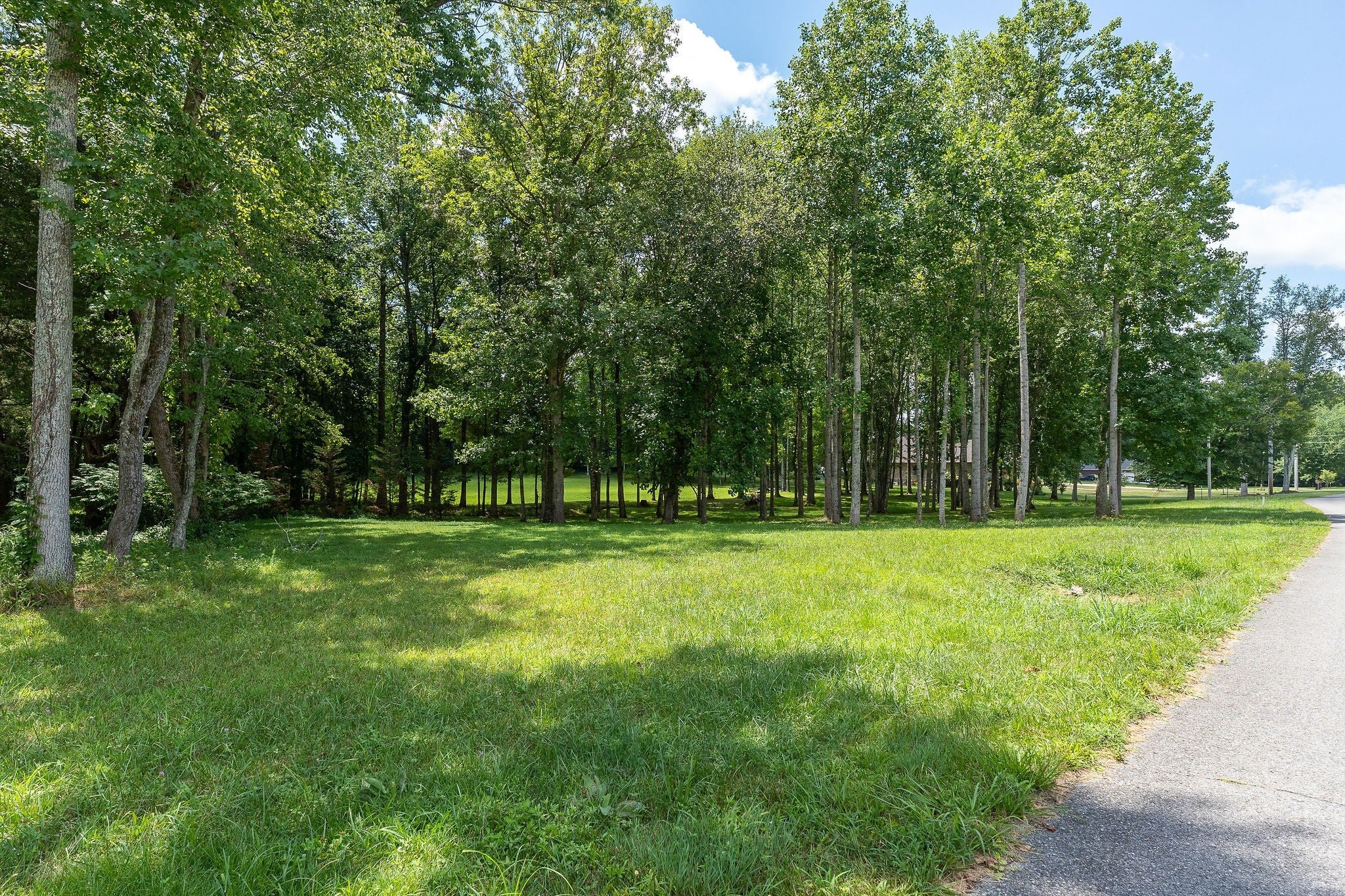 Photo of Listing #2963874