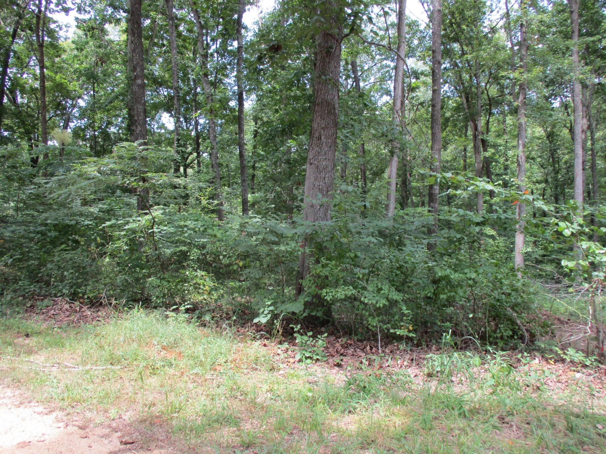 Photo of Listing #2963915