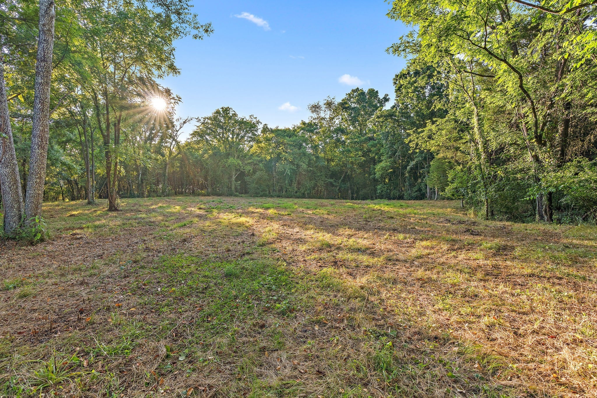 Photo of Listing #2964144