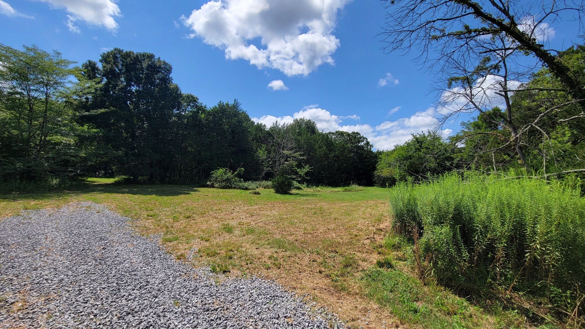 Photo of Listing #2964242