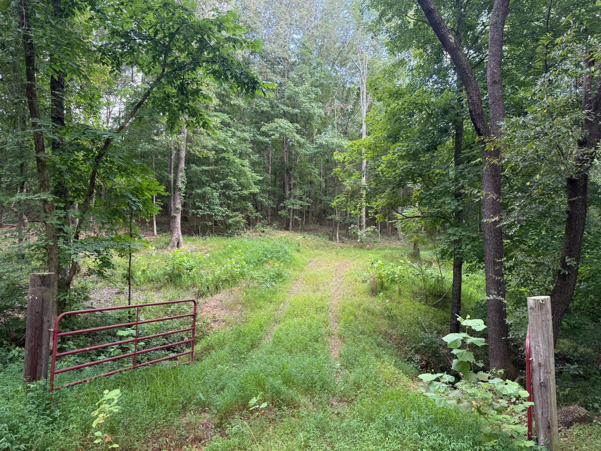 Photo of Listing #2964635