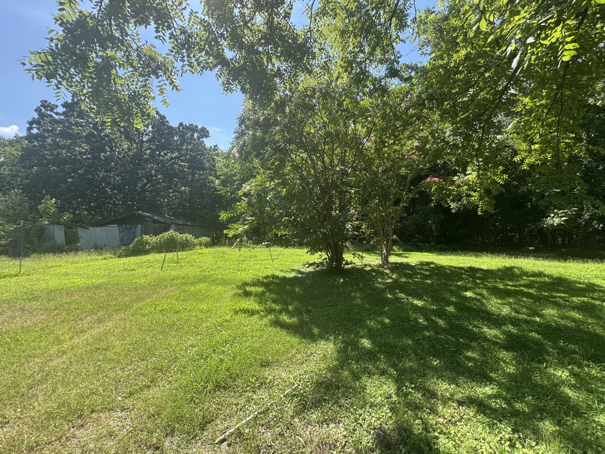 Photo of Listing #2964720