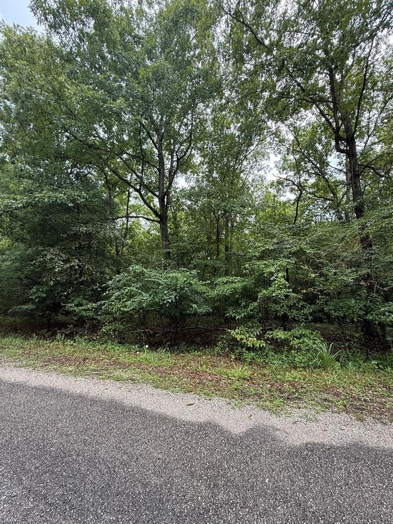 Photo of Listing #2965194