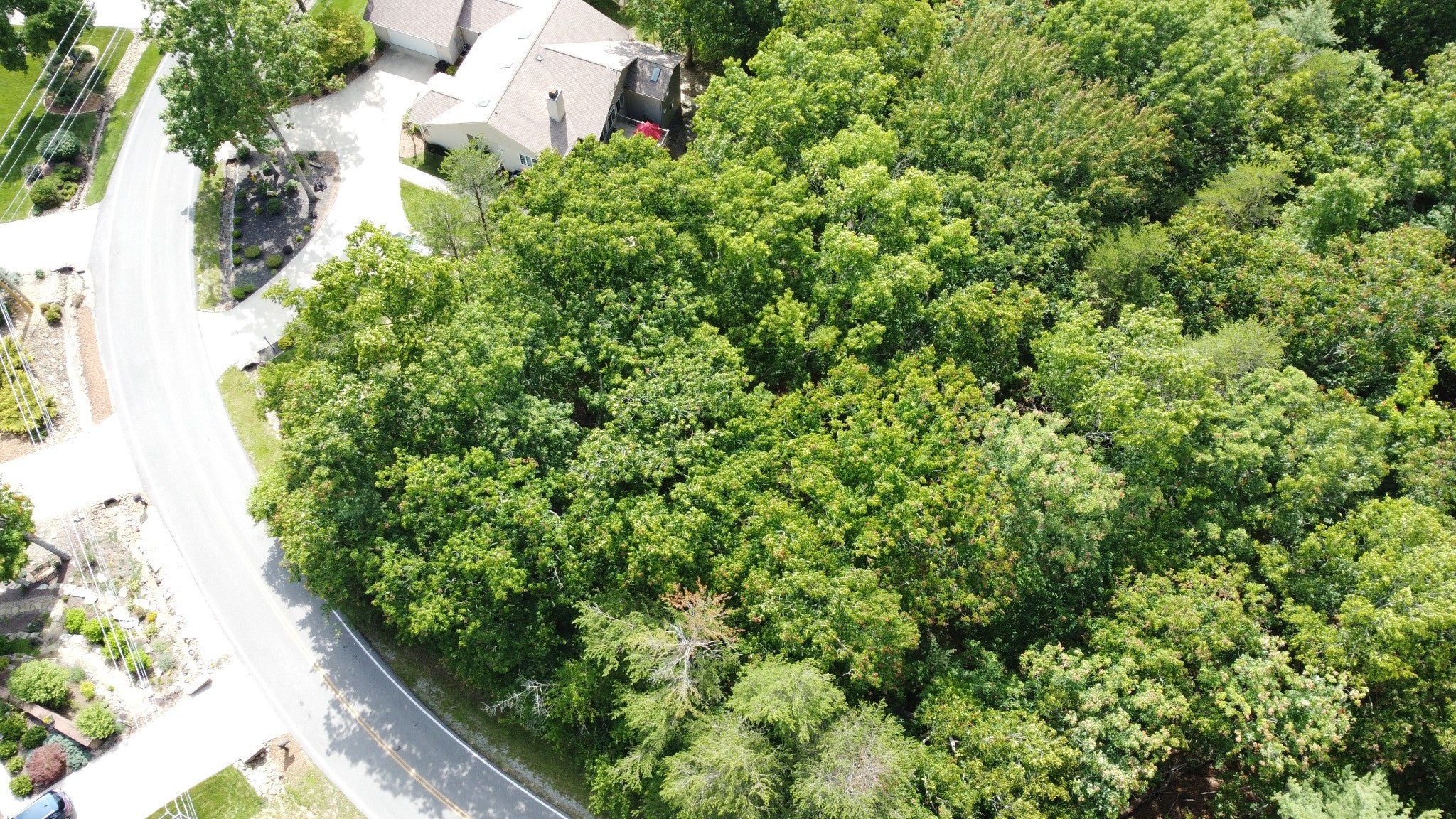 Photo of Listing #2968432