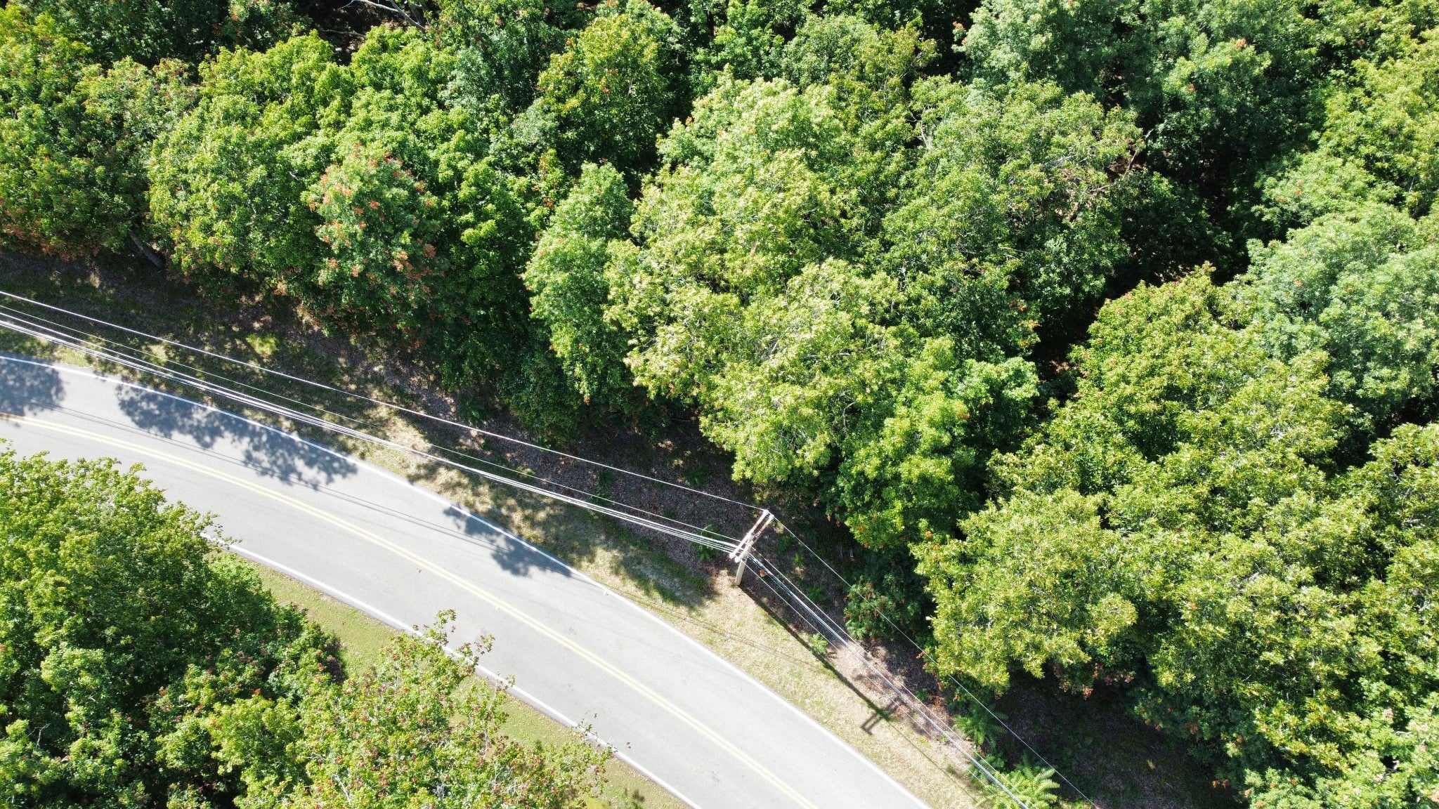 Photo of Listing #2968433