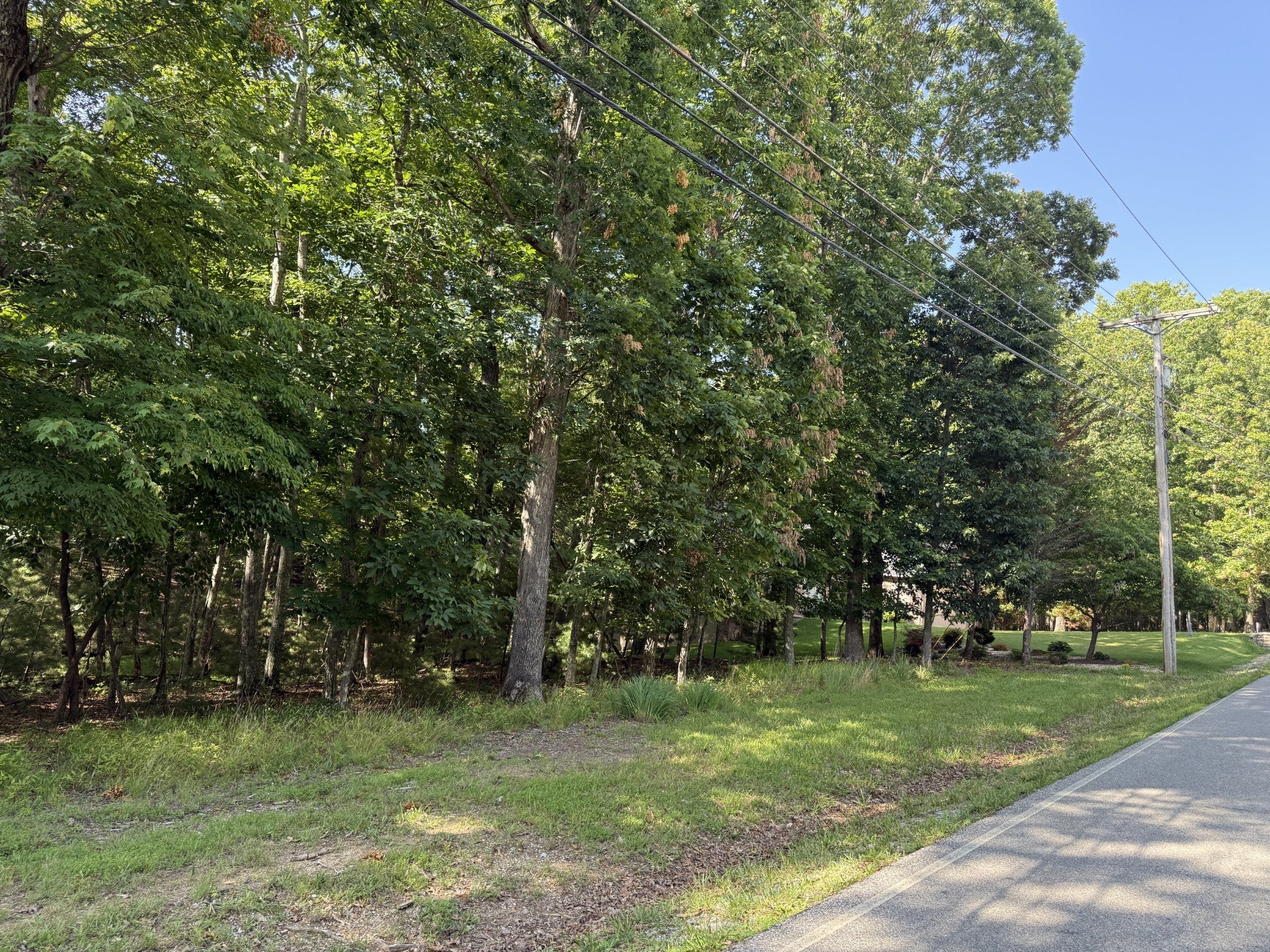 Photo of Listing #2968434