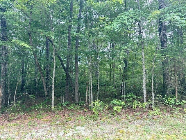 Photo of Listing #2969657