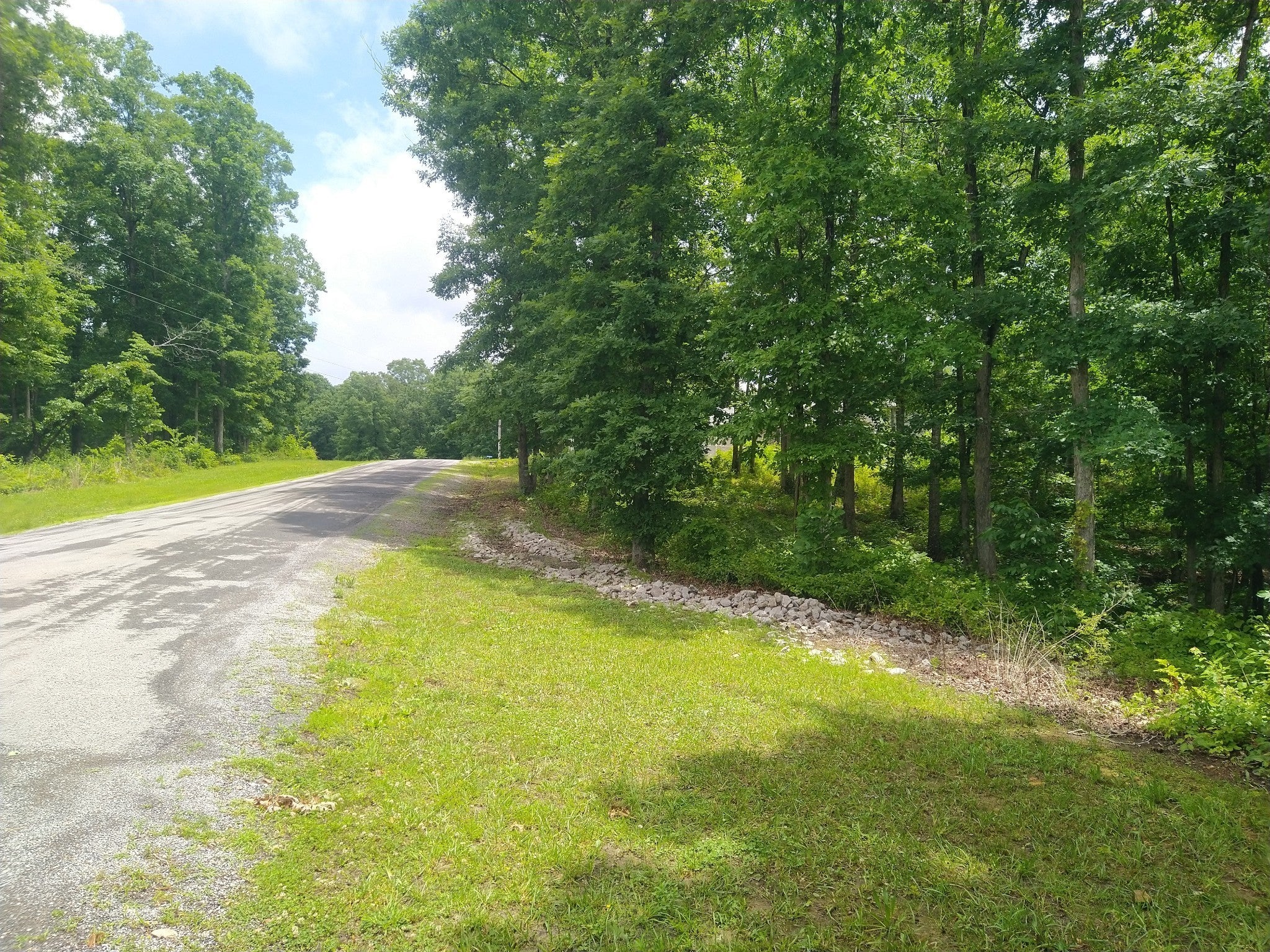 Photo of Listing #2969716