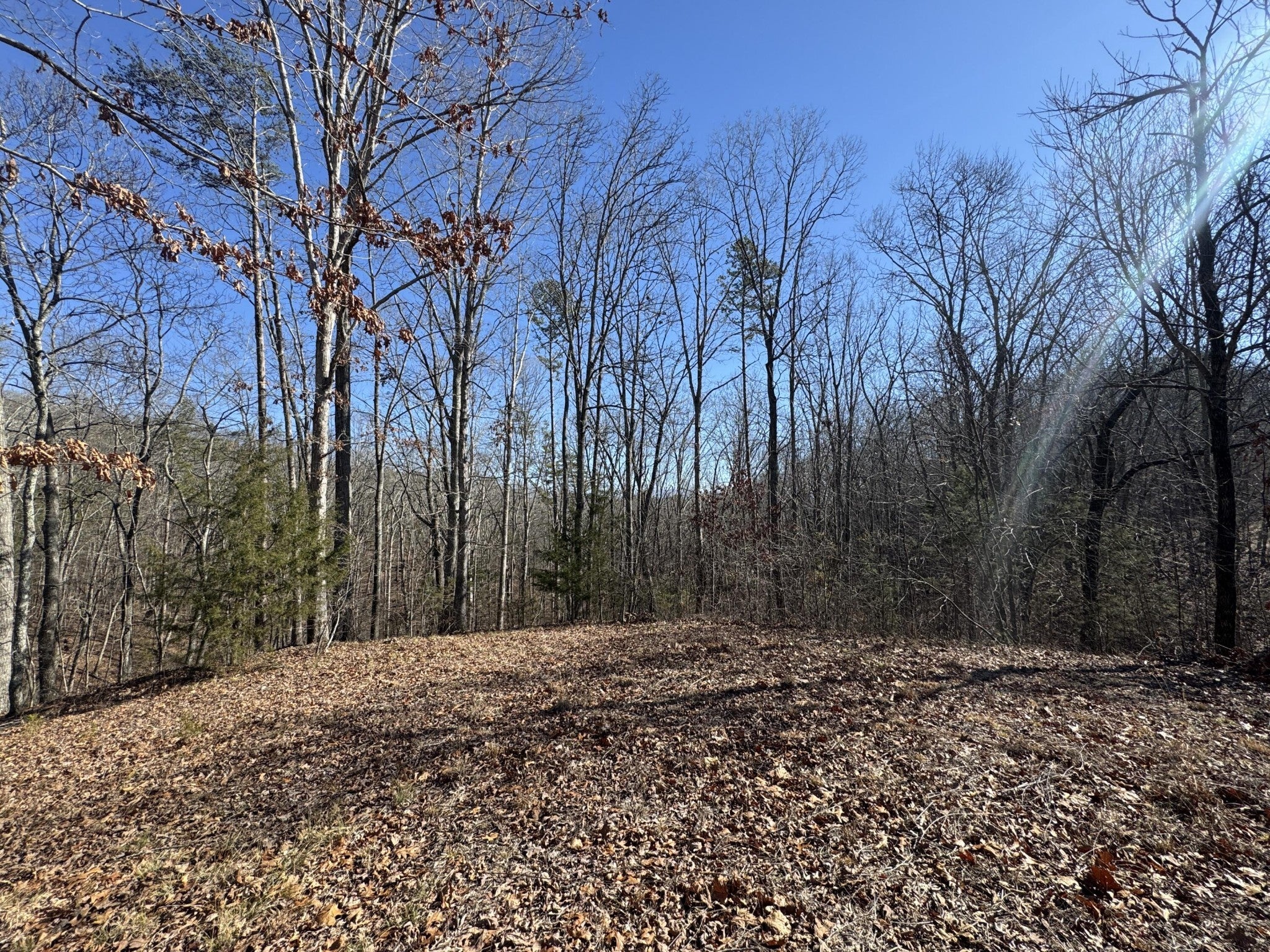 Photo of Listing #2969725