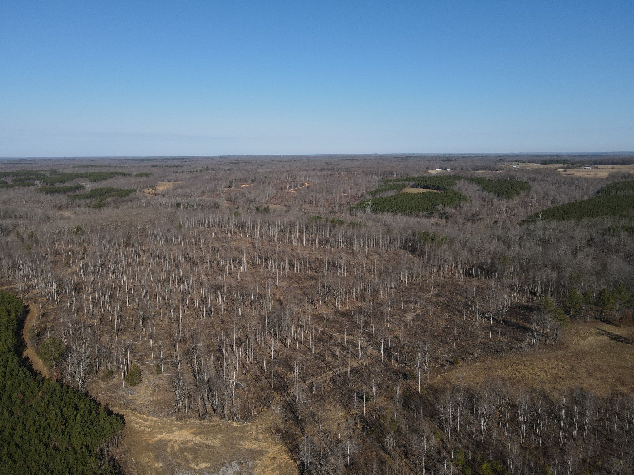 Photo of Listing #2969861