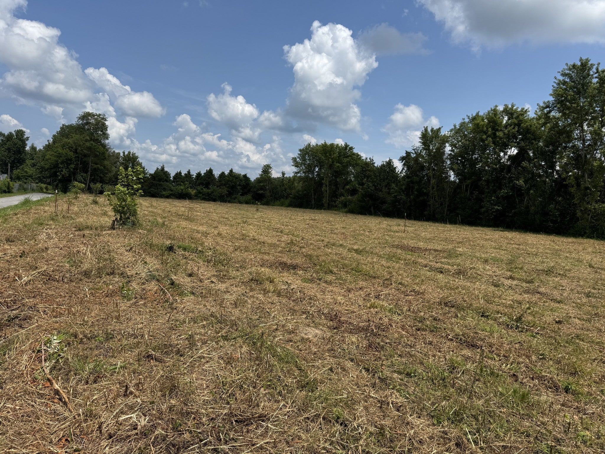Photo of Listing #2969882