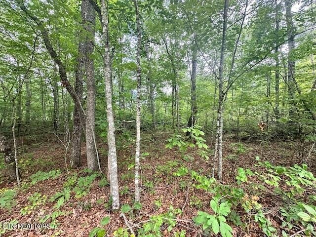 Photo of Listing #2970157