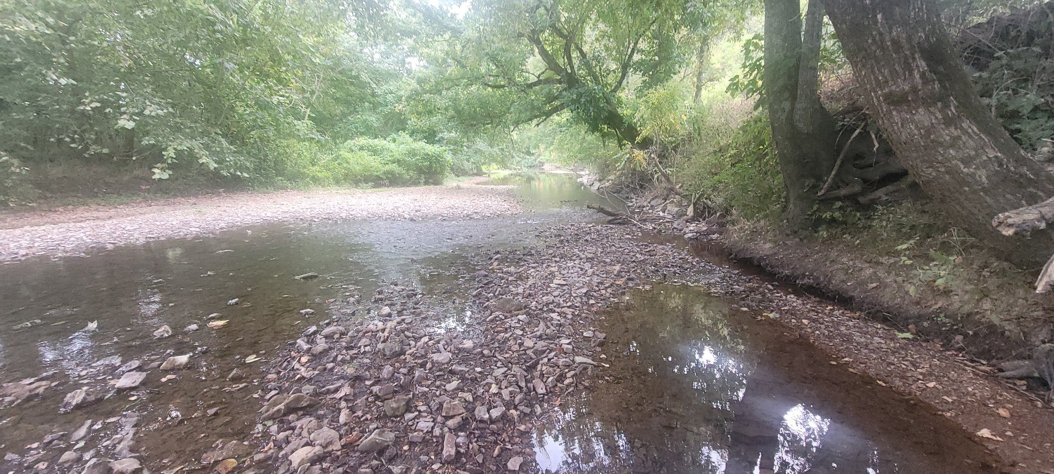 Photo of Listing #2970411