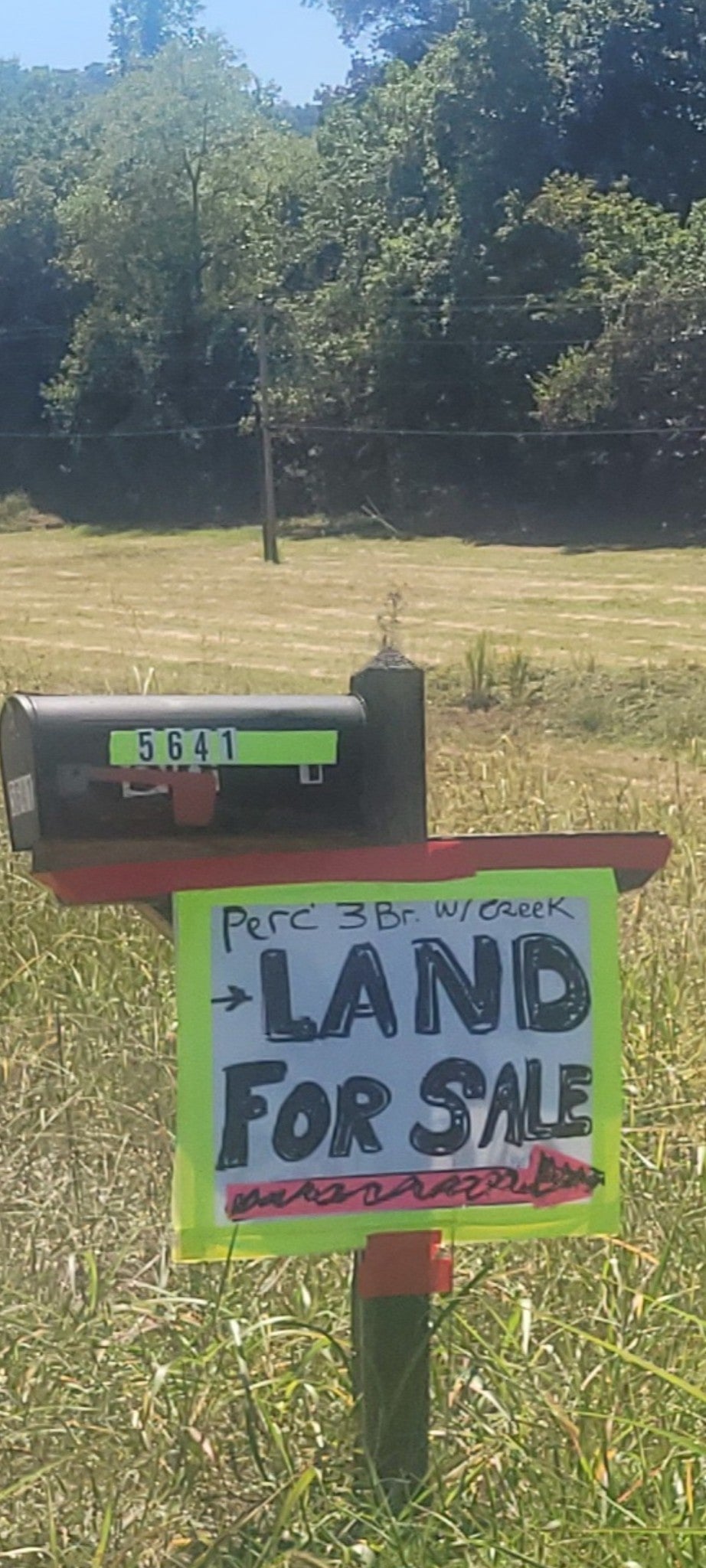 Photo of Listing #2970411