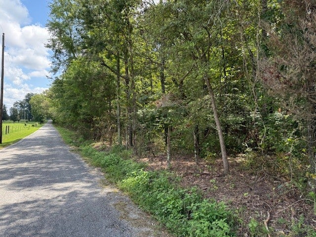 Photo of Listing #2970539