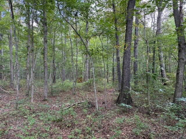 Photo of Listing #2970582