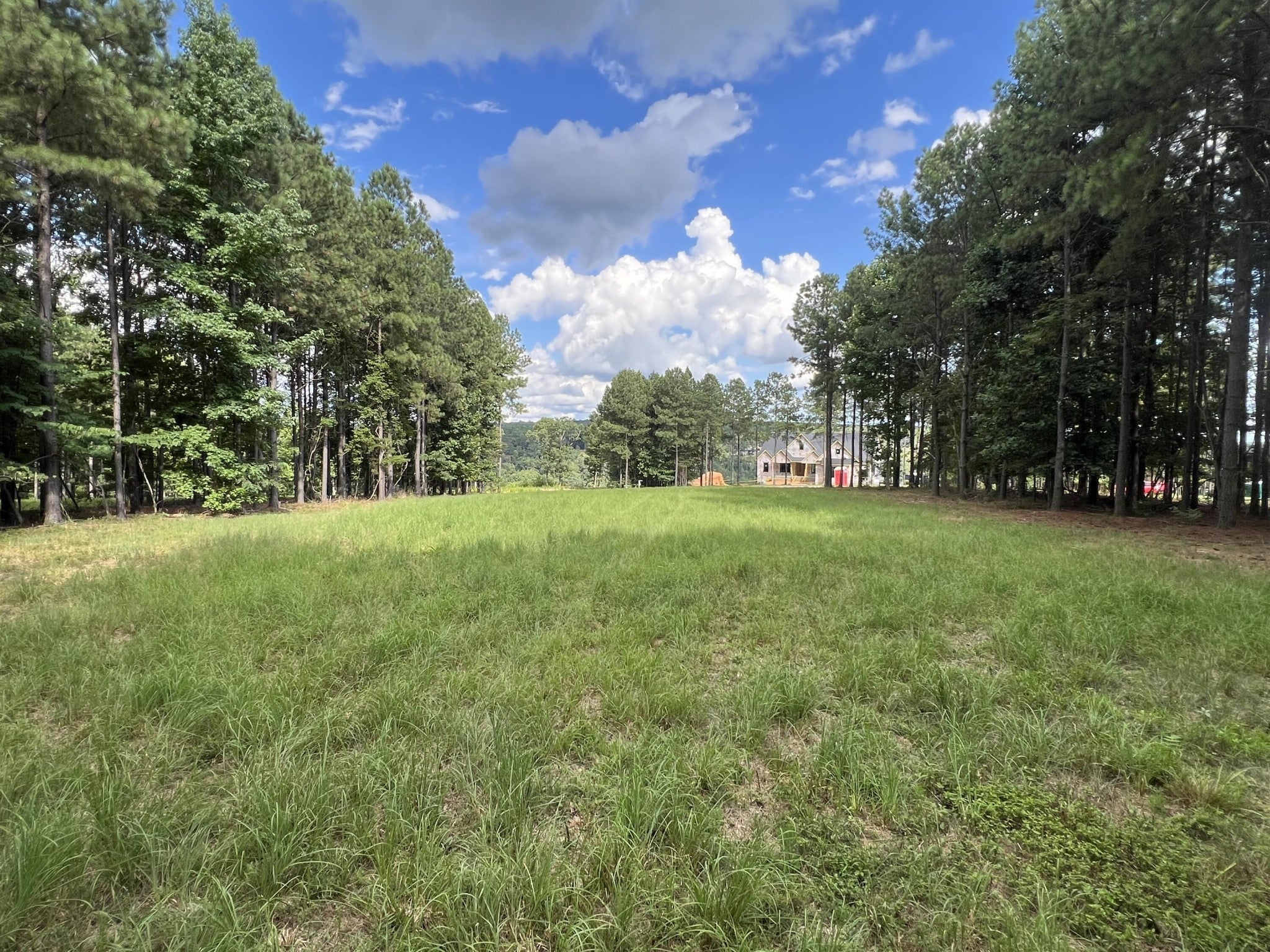 Photo of Listing #2970697