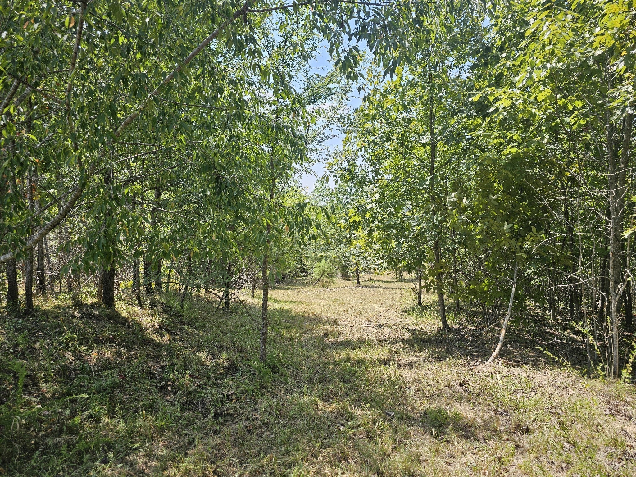 Photo of Listing #2970715