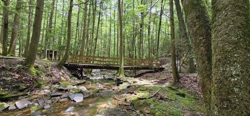 Photo of Listing #2970781