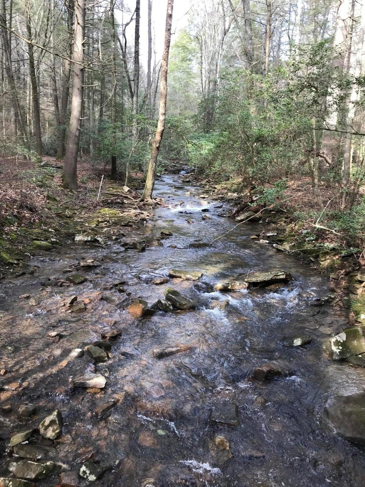 Photo of Listing #2970785