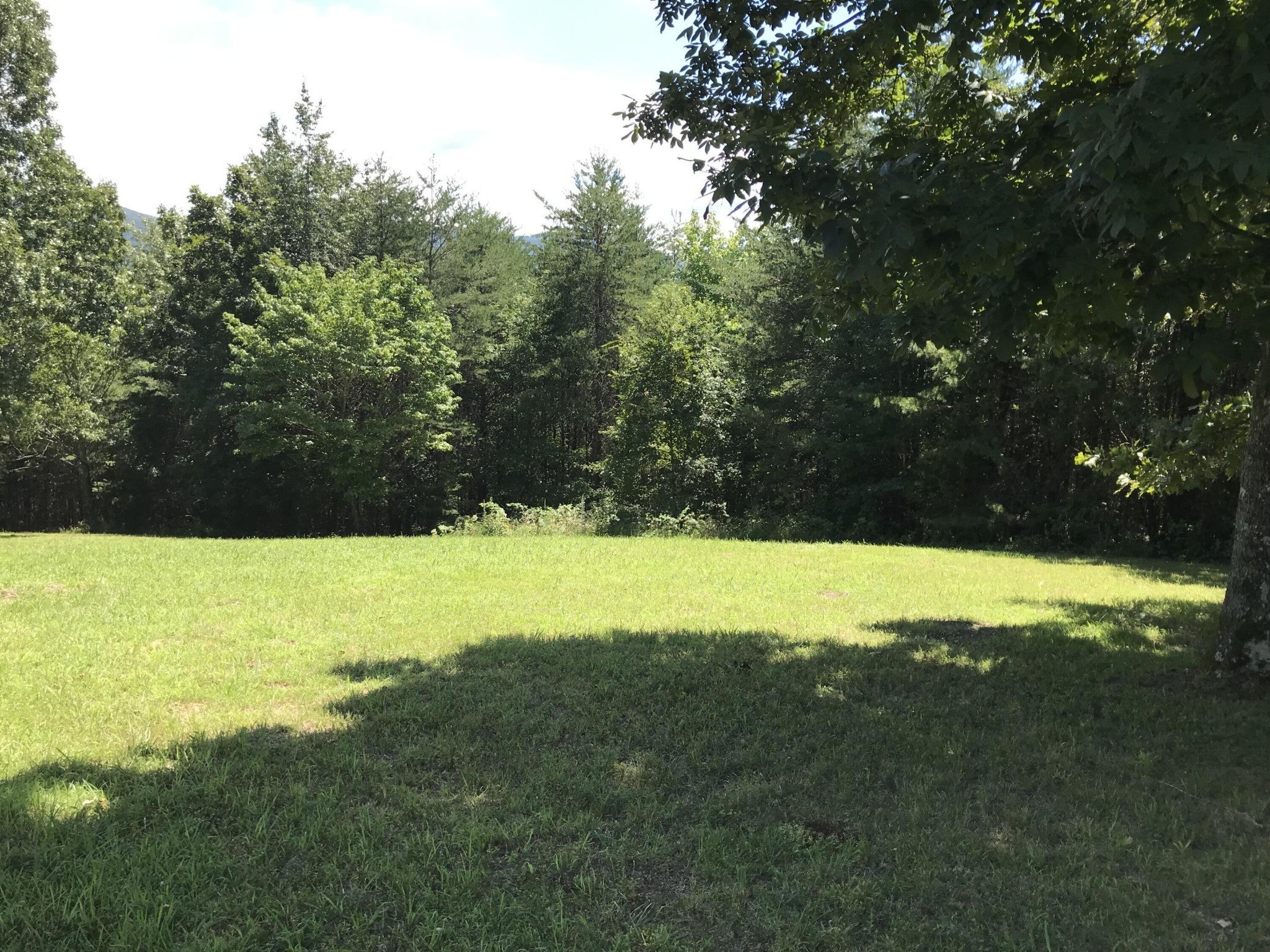 Photo of Listing #2970790