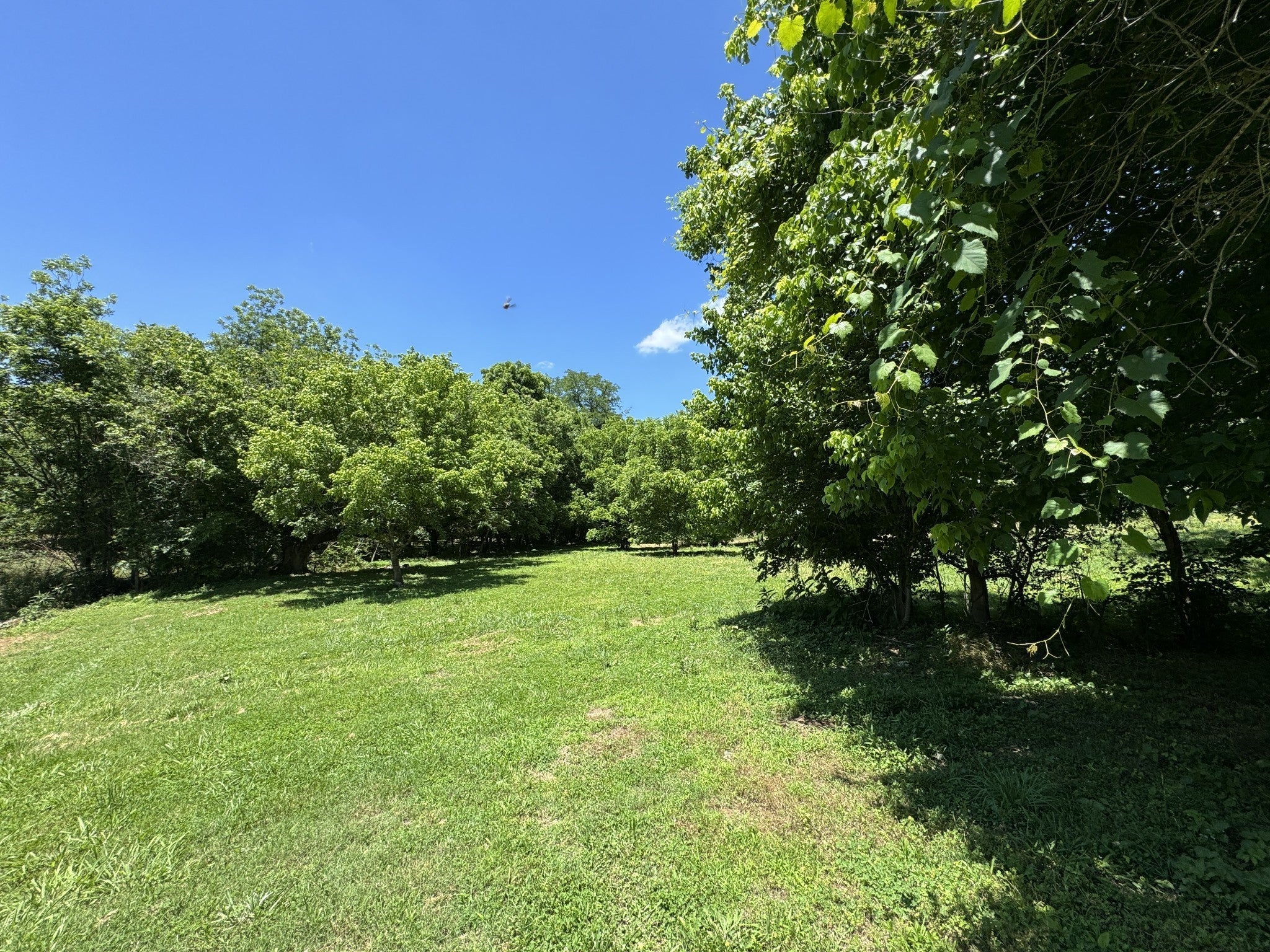 Photo of Listing #2970953