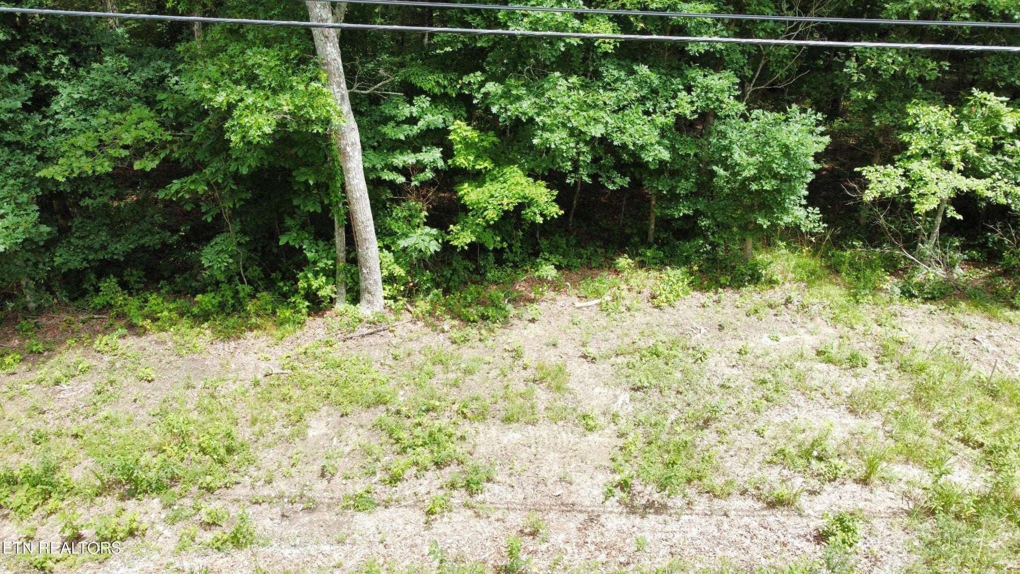 Photo of Listing #2971015